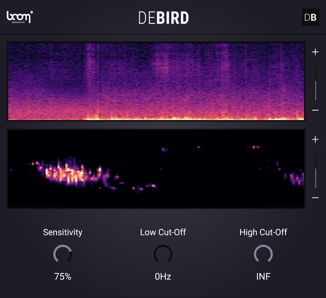 DEBIRD while processing