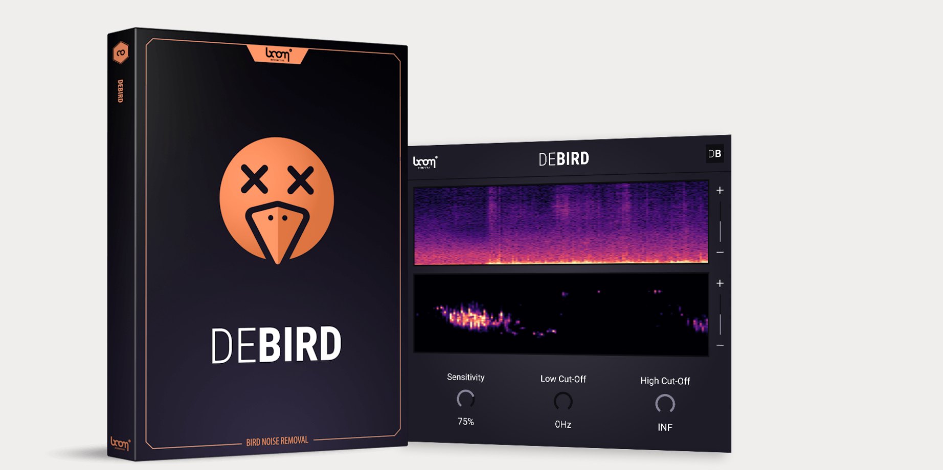 DEBIRD